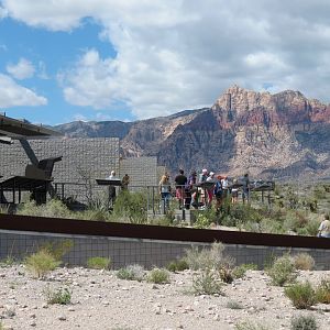 Red Rock Canyon - Desert Tortoise Habitats