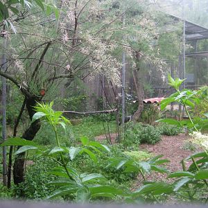 Reserve Africaine de Sigean - African aviary #1