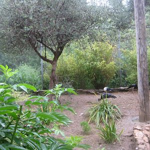 Reserve Africaine de Sigean - African aviary #1