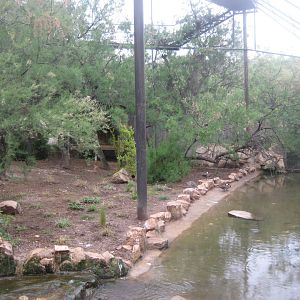 Reserve Africaine de Sigean - African aviary #2