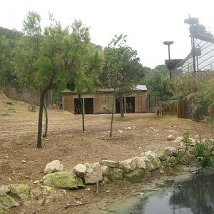 Reserve Africaine de Sigean - Greater kudu exhibit