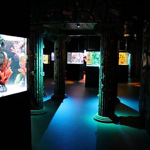 View of the Seahorse Section