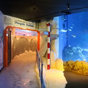 Entrance to Penguin Area