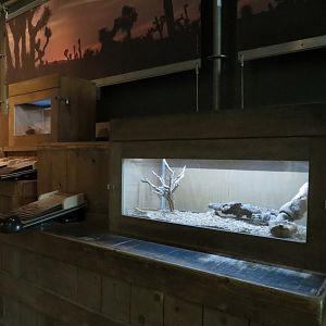 Desert Night Snake Exhibit