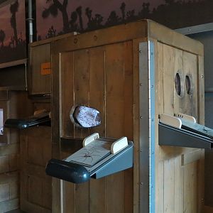 Desert Recluse and Black Widow Spider Exhibits