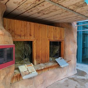 Great Basin Rattlesnake and Sidewinder Exhibits