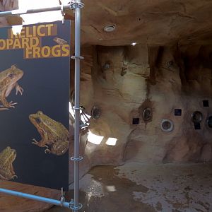 Relict Leopard Frog Exhibit
