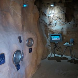 Interpretive Batcave