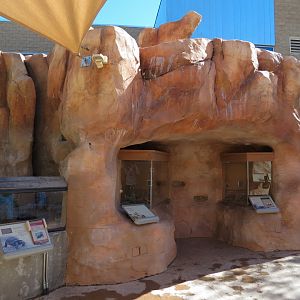 Rough Harvester and Thistledown Velvet Ant Exhibits