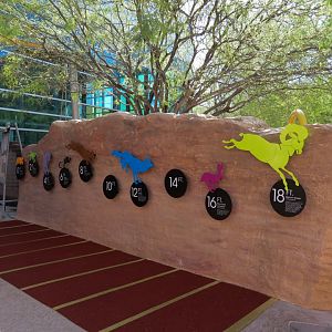 Jump! Interpretive Exhibit