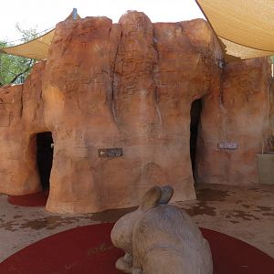 Gray Fox and Desert Cottontail Exhibits - Cave