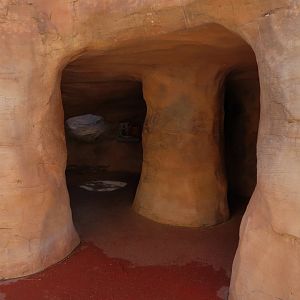 Desert Cottontail Exhibit - Crawl Tunnel