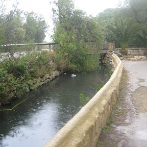 Reserve Africaine de Sigean - The stream