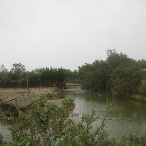 Reserve Africaine de Sigean - Emu lake