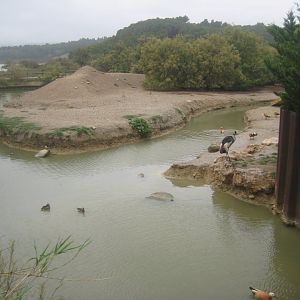Reserve Africaine de Sigean - Emu lake