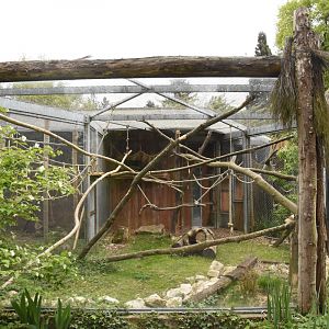 Lemur enclosure