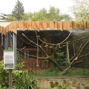 Lemur enclosure