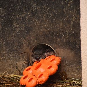 That does not fit....