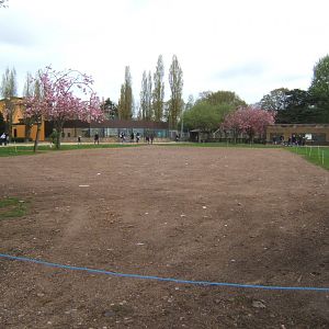 16/4/2017 Empty Langur House site