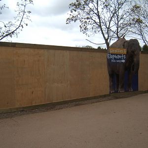 16/4/2017 View of the hoarding round the supposed Chimp build