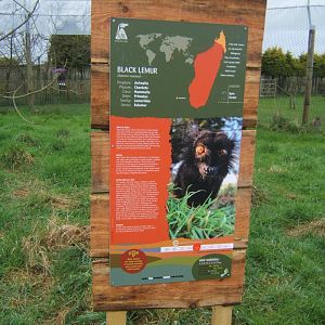 16/4/2017 Signage style