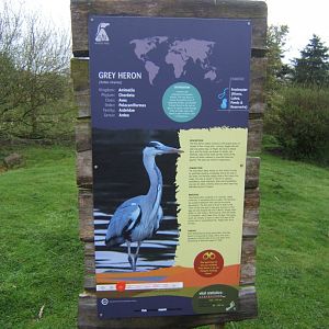 16/4/2017 Clutching at straws when you have to sign a wild species!!