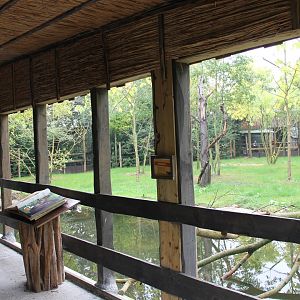 Viewing - Info Shelter Okapi