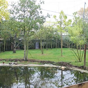 Okapi Outdoor-enclosure