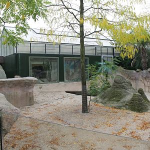 Meerkat outdoor-enclosure