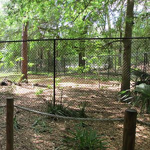 Leopard Tortoise Exhibit