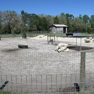 Wilbur & Winnie's Exhibit