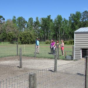 Wilbur & Winnie's Holding Pen