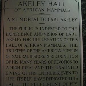 Akeley Hall of African Mammals Memorial Plaque
