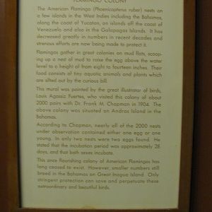 Leonard C. Sanford Hall of North American Birds American Flamingo Plaque.