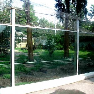 Wolves enclosure - 08.2013