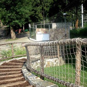 Stairs to the Rhinos Enclosure - 08.2013
