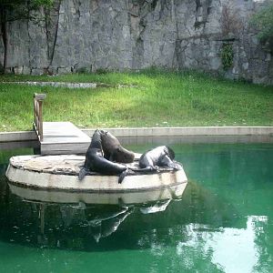 On the pier (previous location Cape Fur Seals) - 08.2013