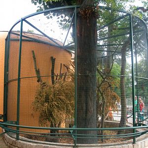 Javan Black Giant Squirrel outdoor exhibit at the Terai Pavilion - 08.2013