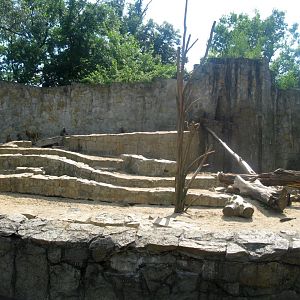 Yellow Baboon enclosure - 08.2013