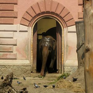 I'm going for a walk. Soon I'll be back - 08.2013