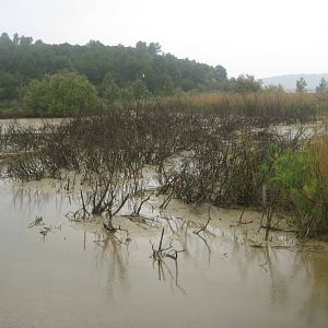 Reserve Africaine de Sigean - Nature reserve