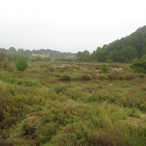 Reserve Africaine de Sigean - Nature reserve