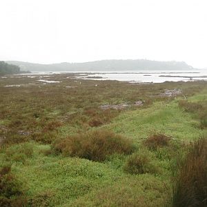 Reserve Africaine de Sigean - Nature reserve