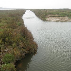Reserve Africaine de Sigean - Nature reserve
