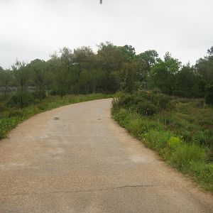 Reserve Africaine de Sigean - Nature reserve