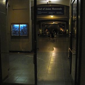Vernay-Faunthorpe Hall of Asian Mammals Entrance