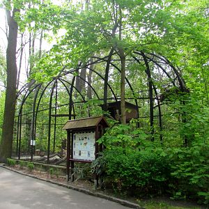 Steller's Sea Eagles aviary - 05/2015