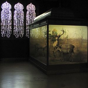 Vernay-Faunthorpe Hall of Asian Mammals Thamin Diorama