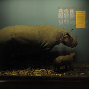 Vernay-Faunthorpe Hall of Asian Mammals Sumatran Rhinoceros