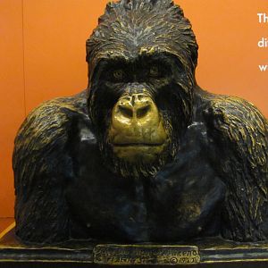 Hall of Primates The Old Man of Mikeno Sculpture